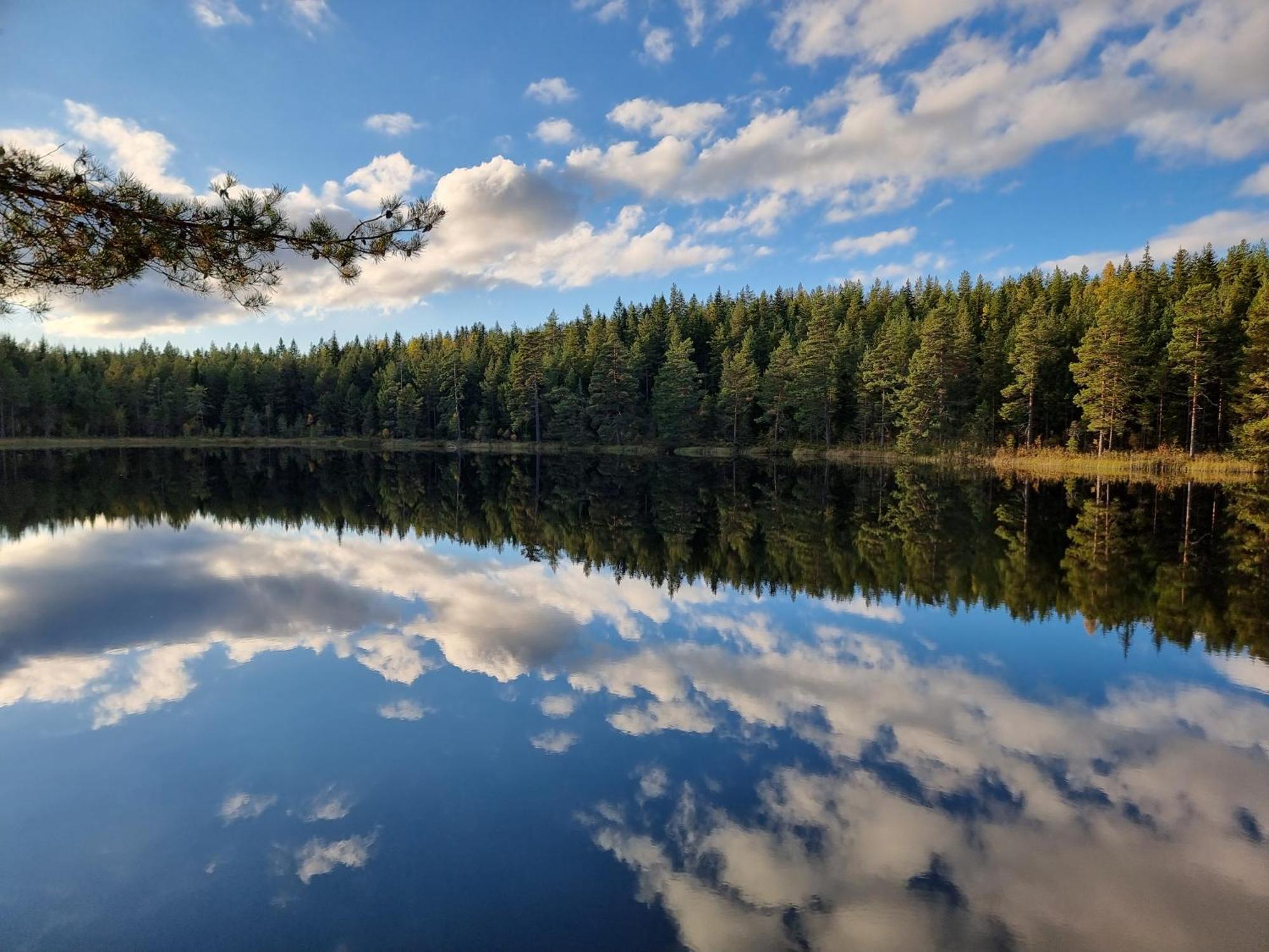 Вілла Sunne Stugcenter 12 Grasmark Екстер'єр фото